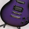 GrassRoots Les Paul Luna Sea innoran