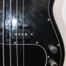 Holly Splendor Series Precision Bass